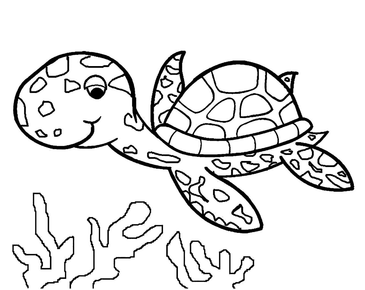 +20 Turtle Coloring Pages References