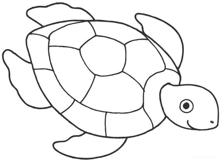 Cool Turtle Coloring Pages Free Printable Ideas