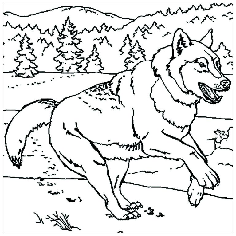 Review Of Wolf Coloring Pages To Print References