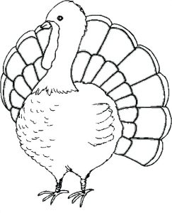 Cooked Turkey Coloring Pages at Free printable