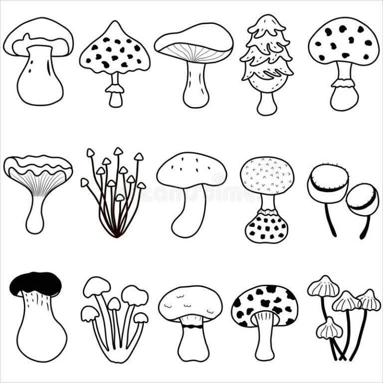 Review Of Fungi Coloring Page Ideas