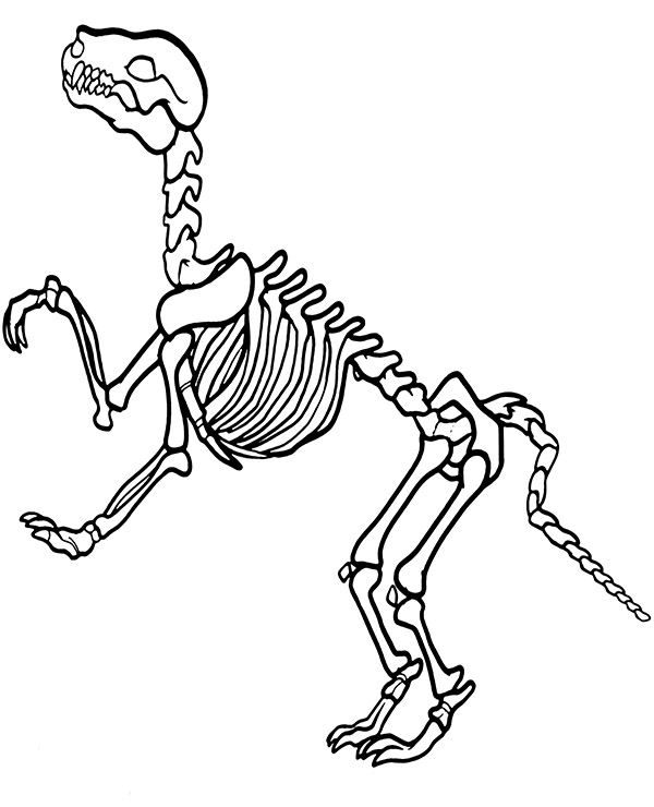 List Of Coloring Page Dinosaur Skeleton References