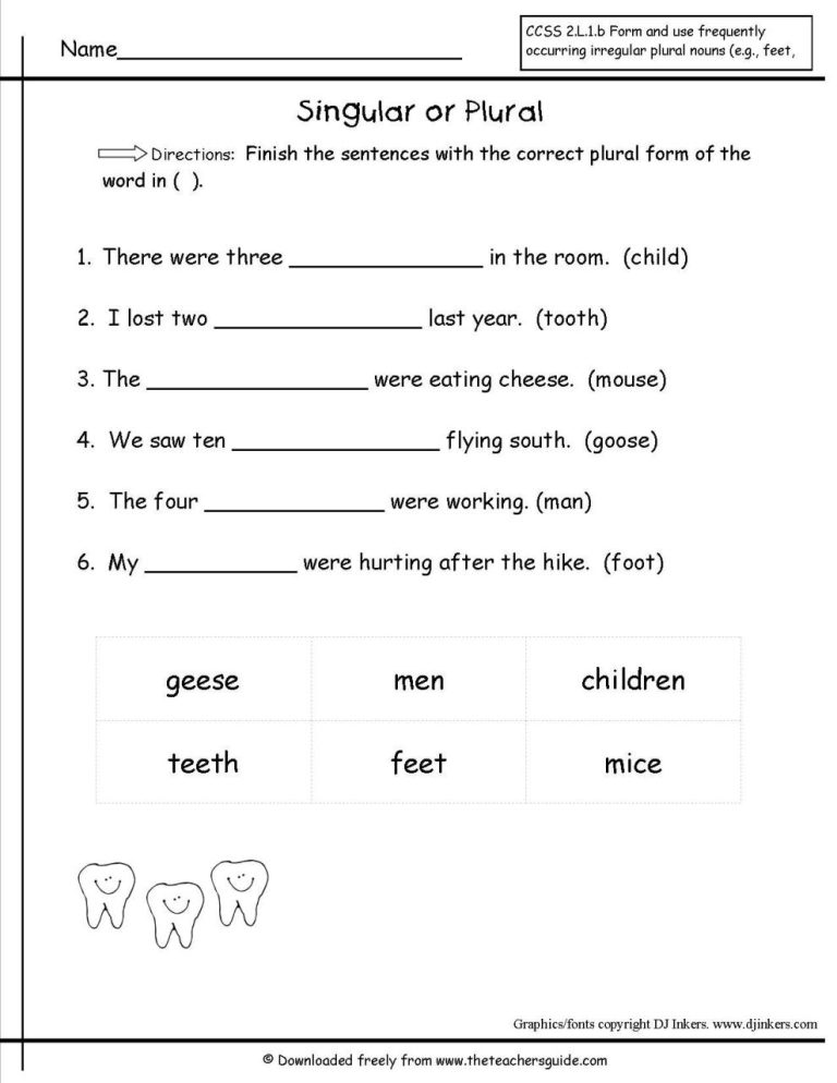 5th Grade Singular And Plural Nouns Worksheets With Answer Key Pdf
