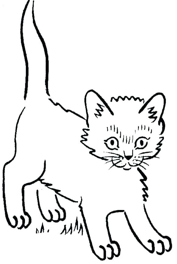 List Of Kitten Coloring Pages Pdf Ideas