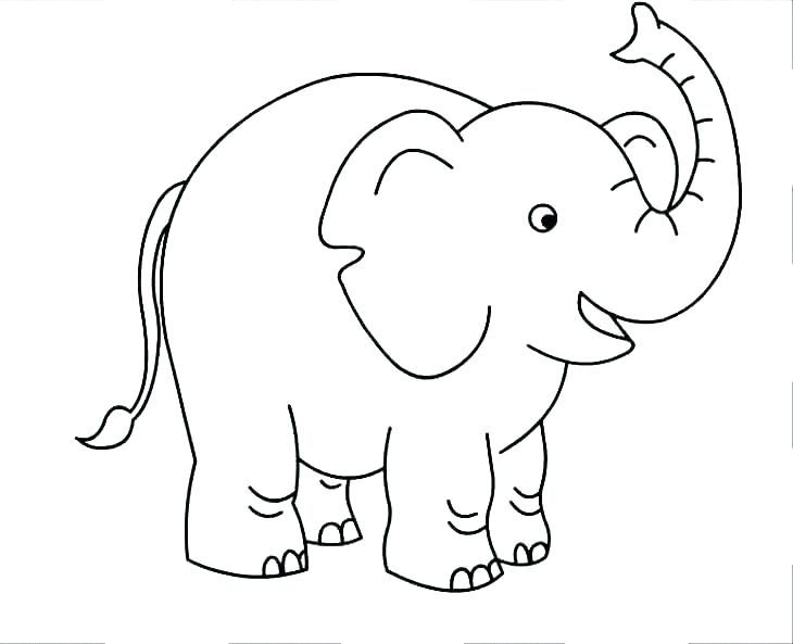 Cool Elephant Coloring Pages Pdf References