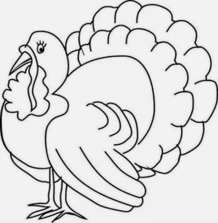 List Of Turkey Coloring Pages Crayola References