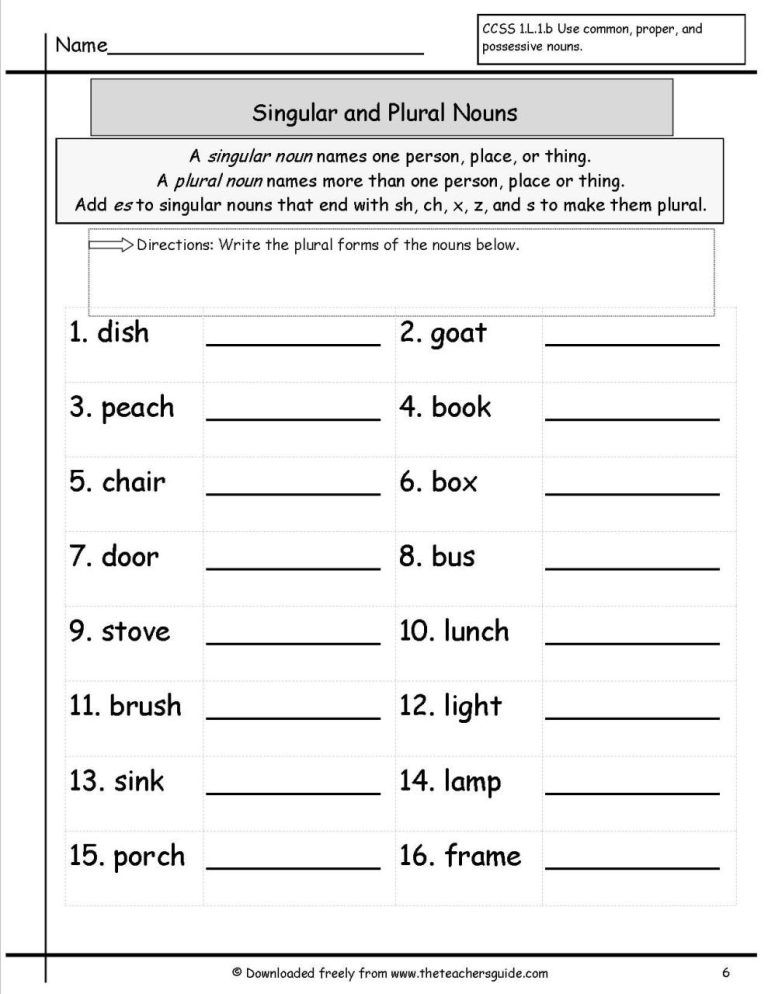 Singular And Plural Nouns Worksheets For Grade 10