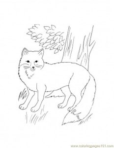 Fox front Coloring Page for Kids Free Fox Printable Coloring Pages