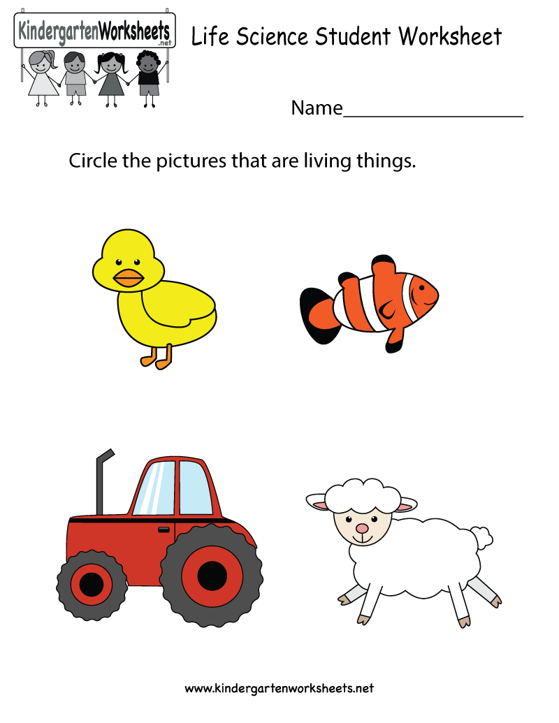 Famous Science Worksheets For Kindergarten Free Printable References