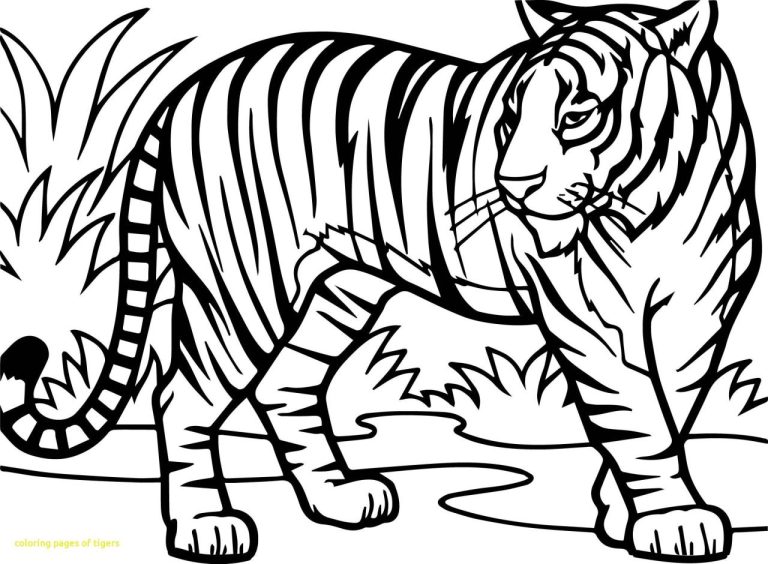 Cool Tiger Coloring Pages Easy 2022