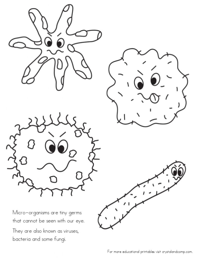 Cool Fungi Coloring Worksheet Answer Key Pdf Ideas