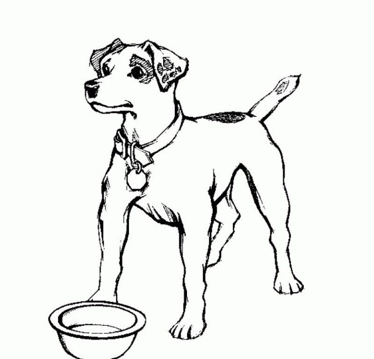 Famous Dog Coloring Pages Realistic Ideas