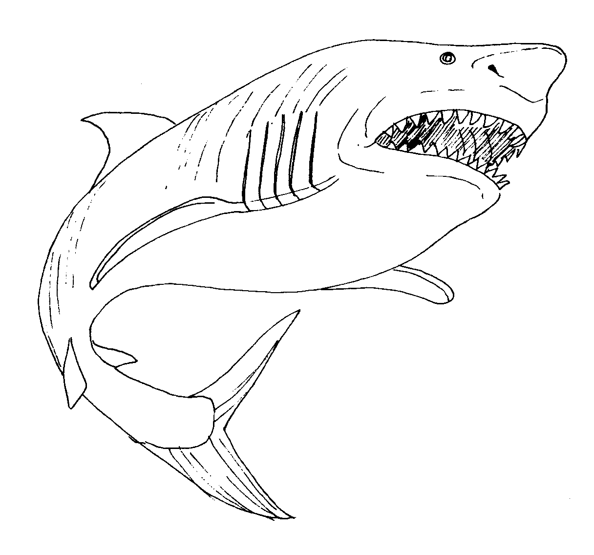 Famous Shark Coloring Pages Free 2022