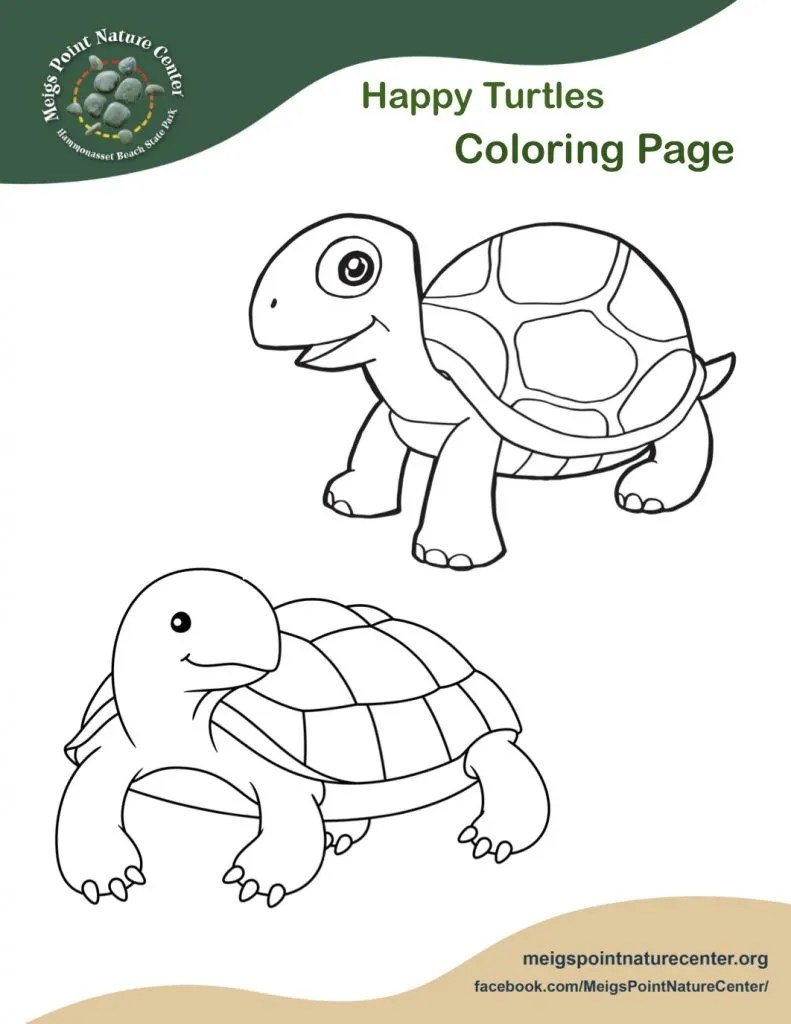 List Of Turtle Coloring Pages Parking References