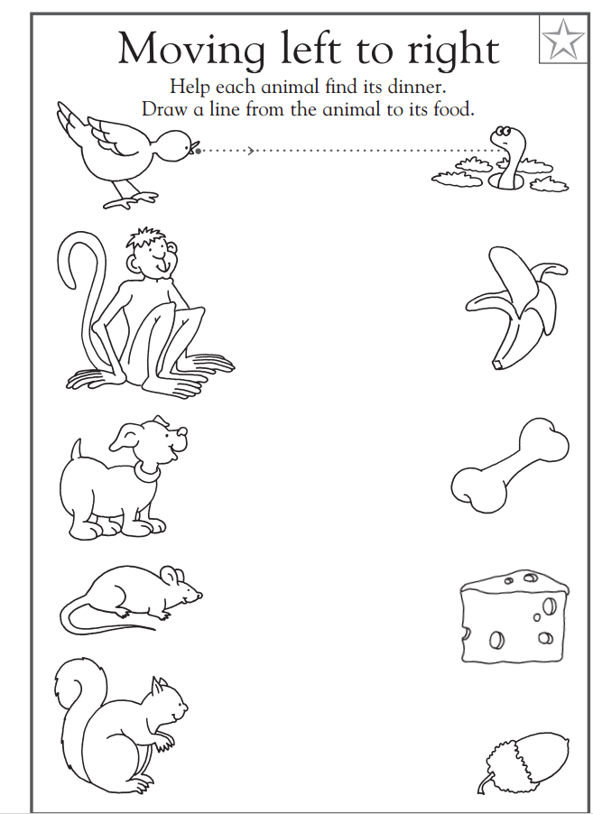 Famous What Animals Need Worksheet Kindergarten 2022