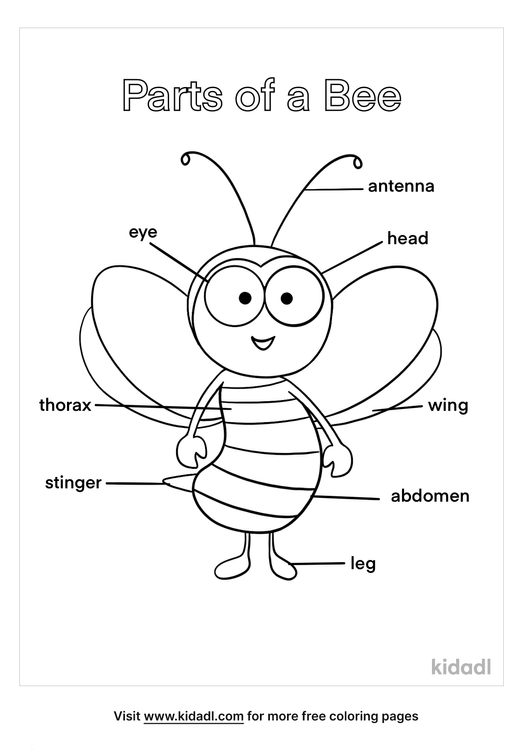 Cool Types Of Coloring Pages 2022