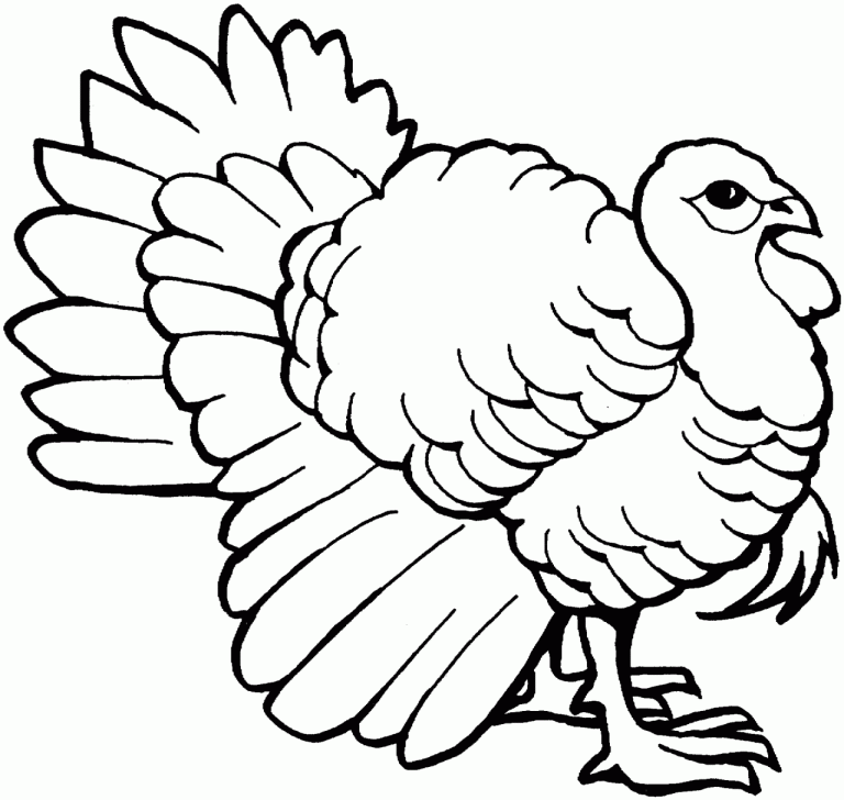 List Of Turkey Coloring Pages 2022