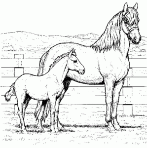 Realistic Horse Coloring Pages Resume Format Download Pdf Coloring Home