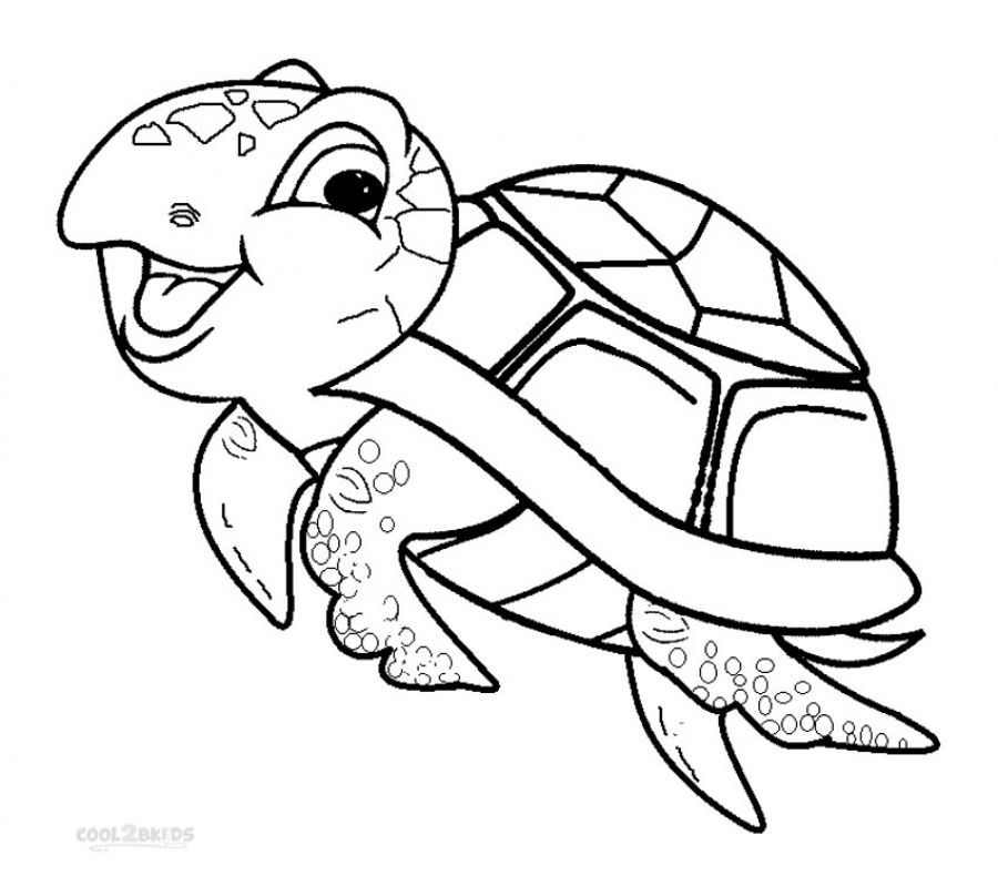 Turtle Pictures To Color