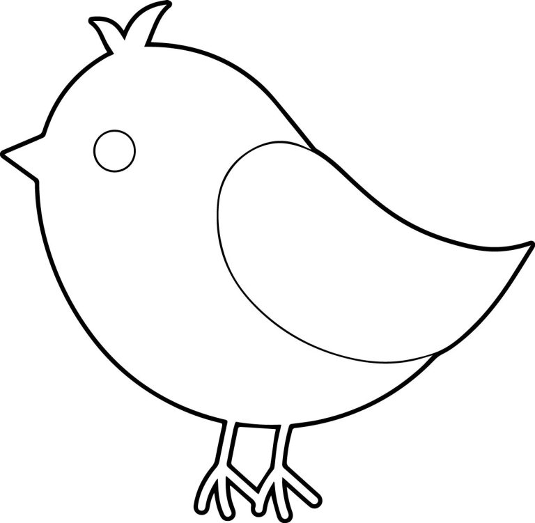 Bird Coloring Pages Easy