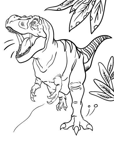 T Rex Dinosaur Pictures To Color