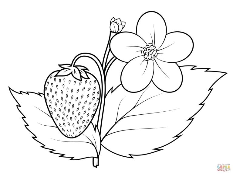 Strawberry Coloring Page Clipart