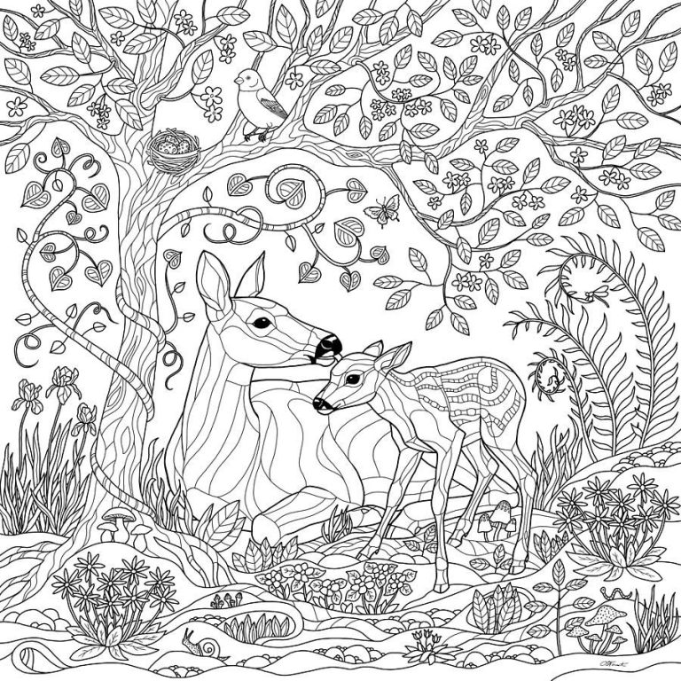 Forest Coloring Pages For Kids