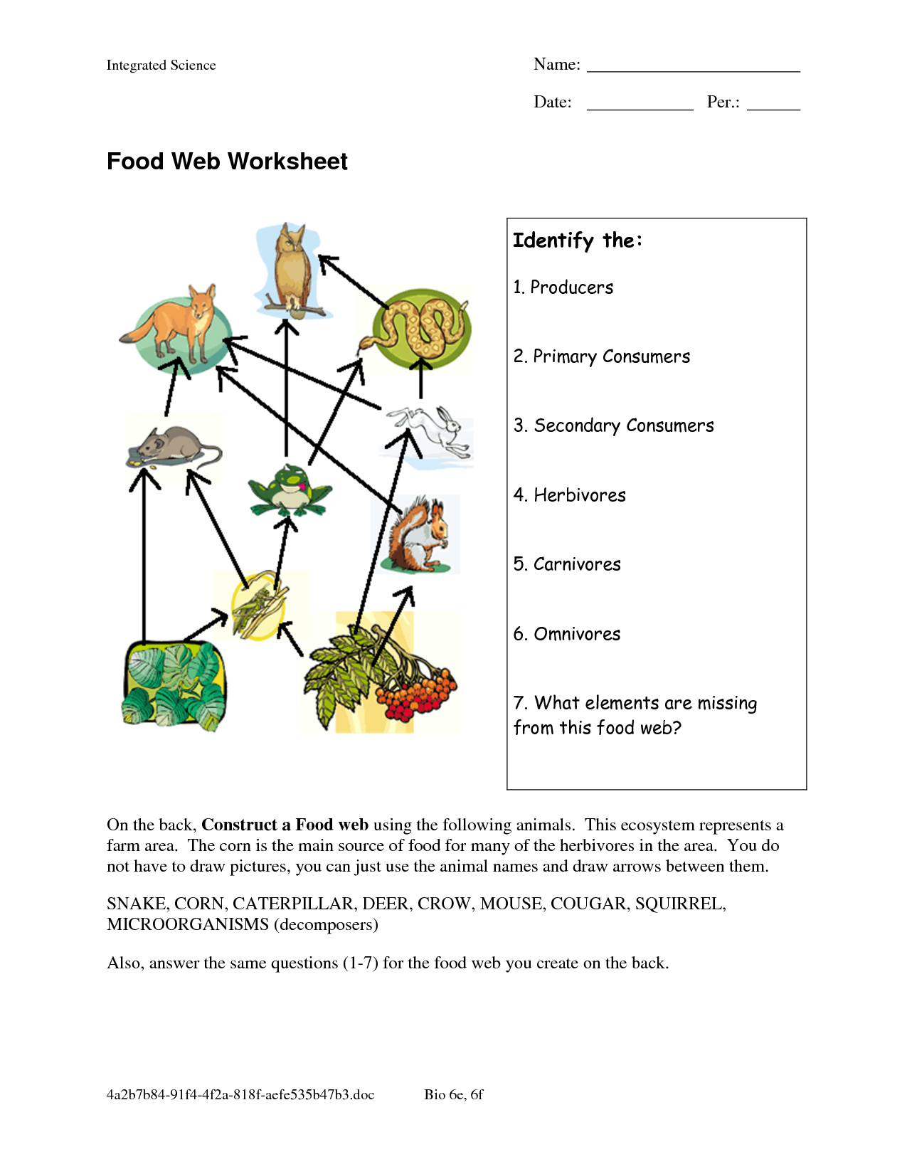 Answer Key Food Webs And Food Chains Worksheet Back Answers