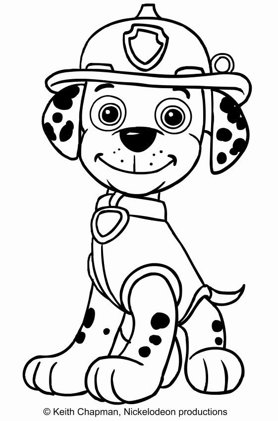 Paw Patrol Coloring Pages Marshall