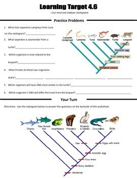 Answer Key Biology Cladogram Practice Worksheet Answers