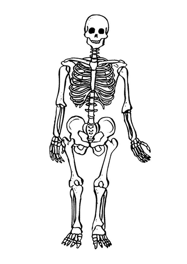 Skeleton Coloring Pages To Print