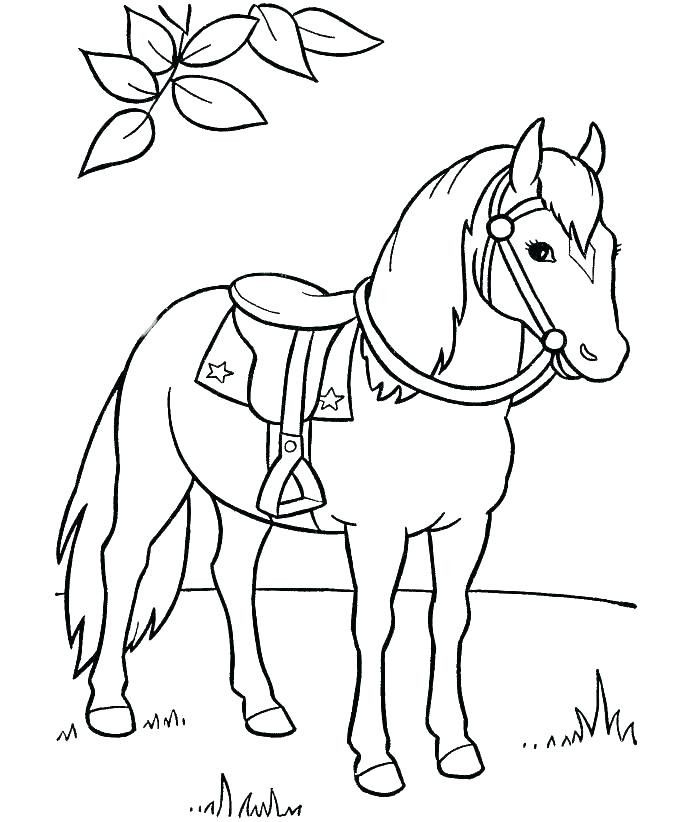 Printable Horse Pictures