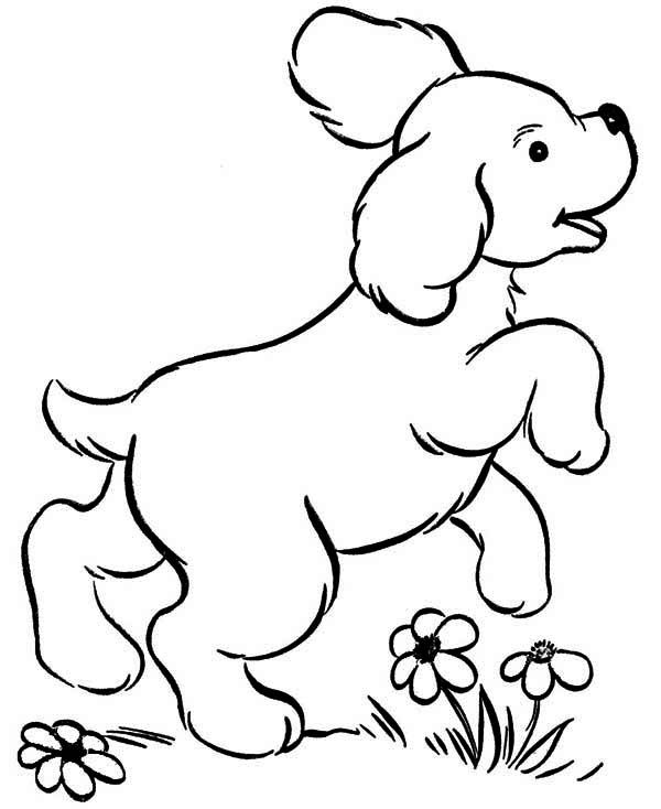 Dog Colouring In