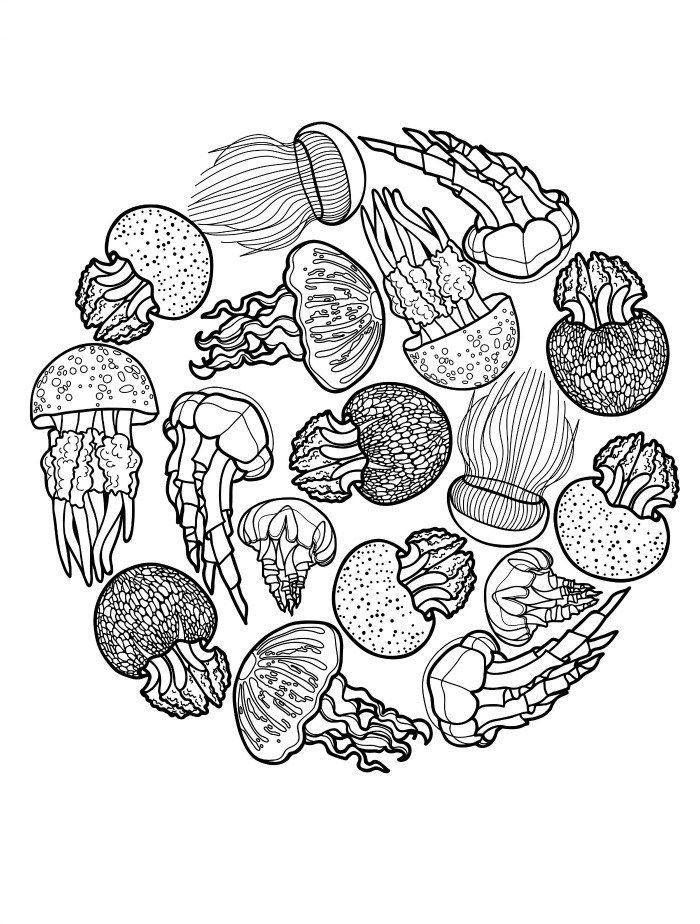 Detailed Jellyfish Coloring Page