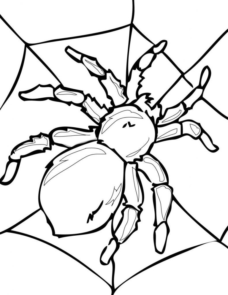 Halloween Printable Coloring Pages Spider