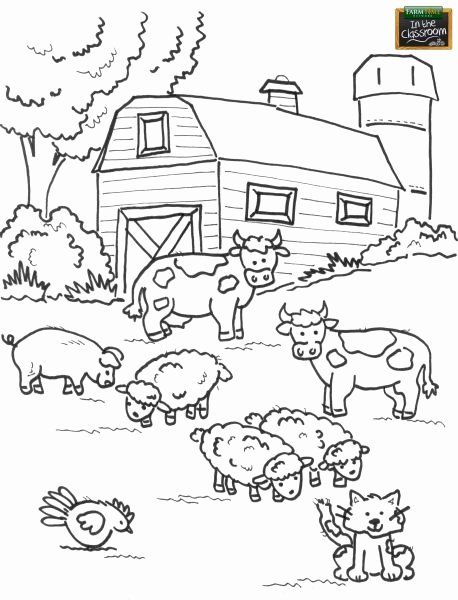 Farm Animal Coloring Pages For Kindergarten