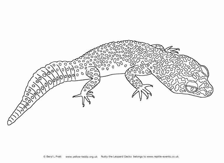 Gecko Lizard Coloring Pages