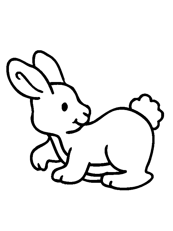 Rabbit Coloring Cute Bunny Coloring Pages