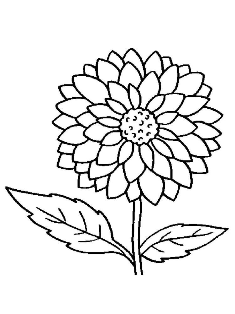 Pretty Coloring Pages Flowers