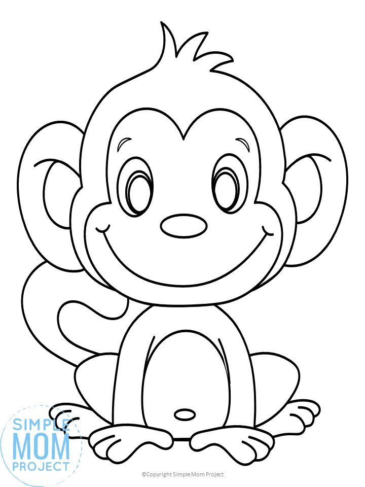 Monkey Coloring