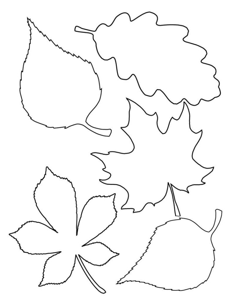 Printable Leaf Shapes To Cut Out