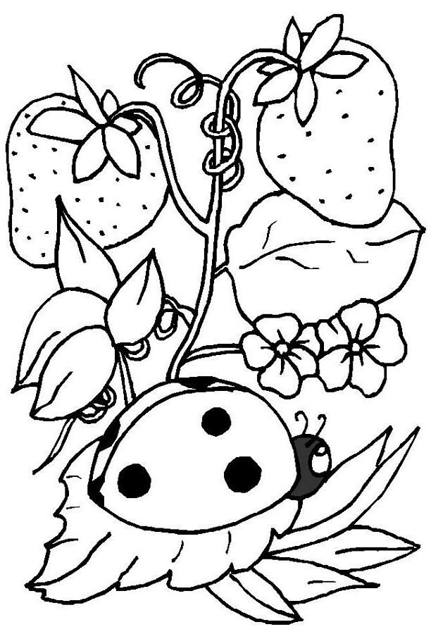Ladybug Coloring Pages For Kids