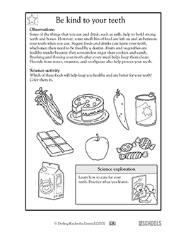 Free Second Grade Science Worksheets