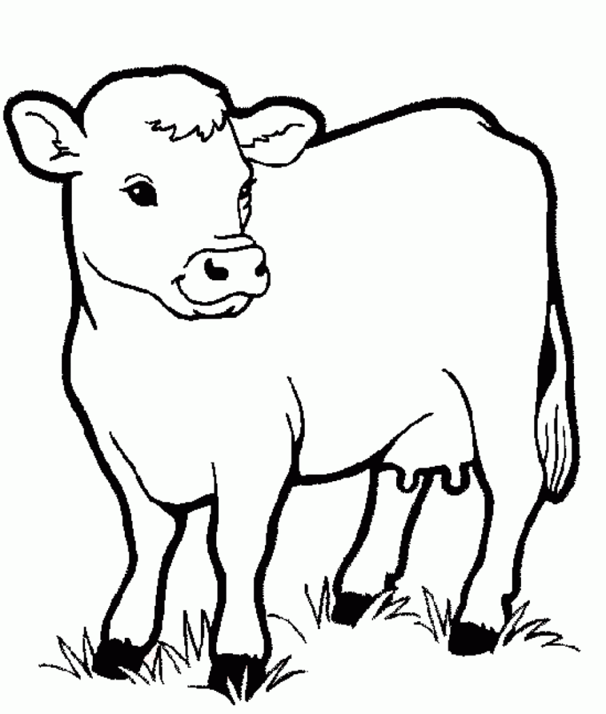 Coloring Pages For Kids Animals