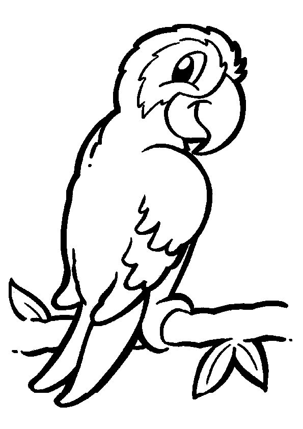 Easy Coloring Pages Animals