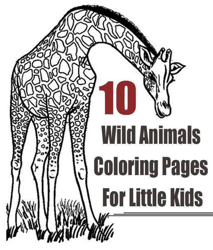 Printable Animal Coloring Pages