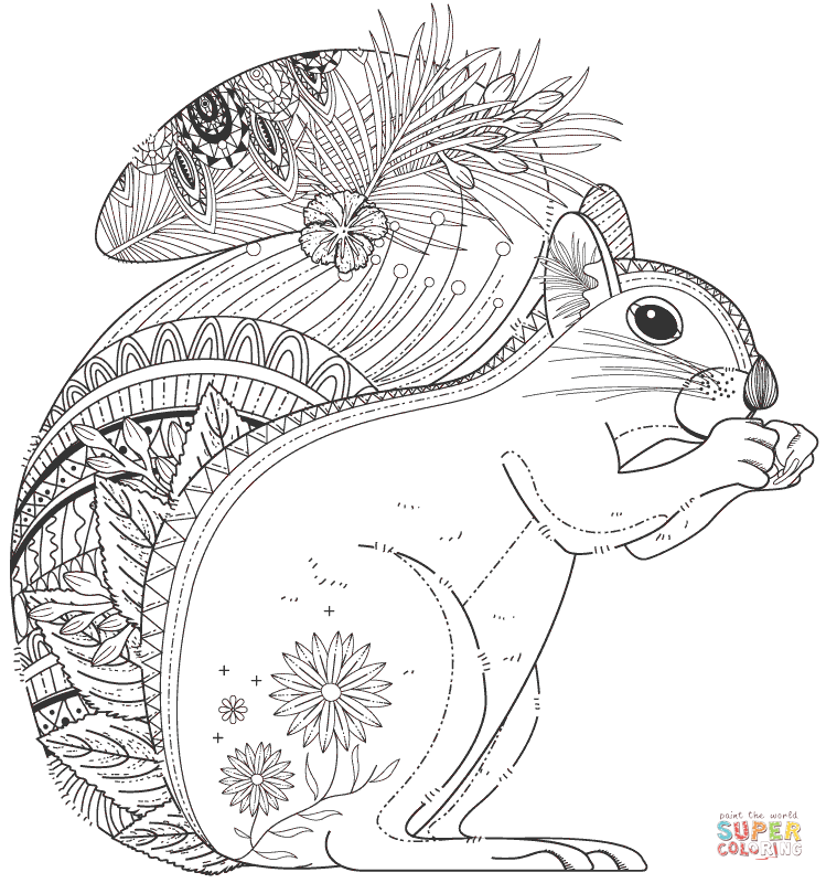 Squirrel Coloring Pages For Adults