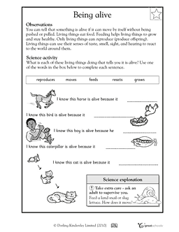 Printable Second Grade Science Worksheets