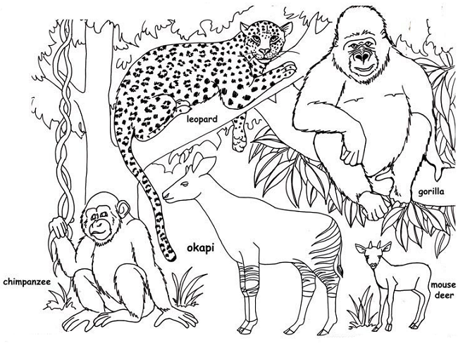 Jungle Animals Coloring Pages