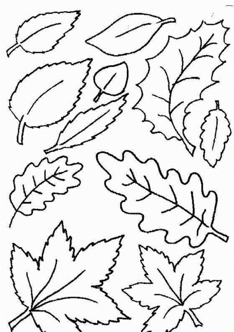 Leaf Coloring Pages For Preschoolers